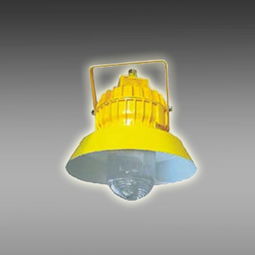 四川蛟龍照明供應節能防爆平臺燈 價格 1500元 套